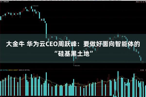大金牛 华为云CEO周跃峰:要做好面向智能体的“硅基黑土地”